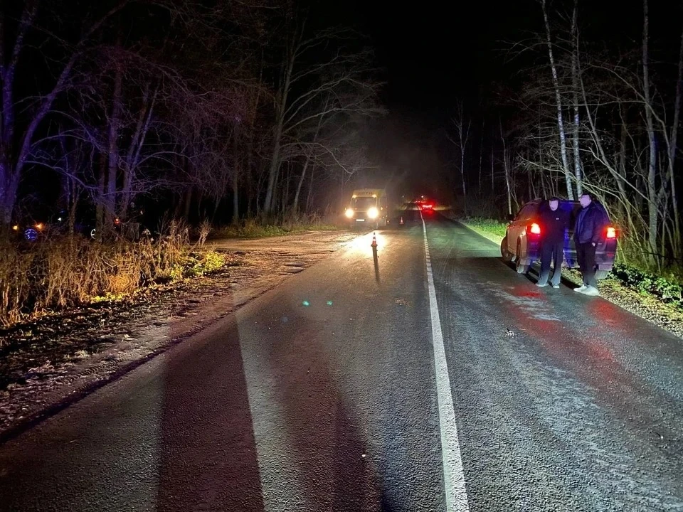 Фото Госавтоинспекции УМВД России по Владимирской области.