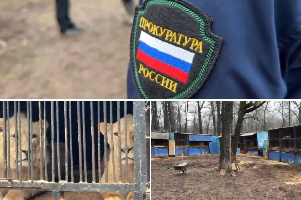 Фото: Прокуратура Башкирии