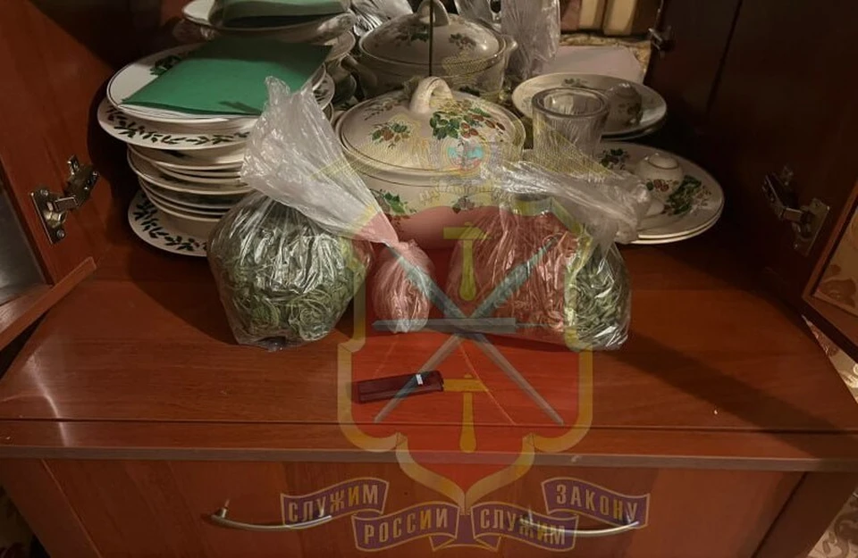 Жителя Тульской области задержали за хранение наркотиков и угрозы убить жену