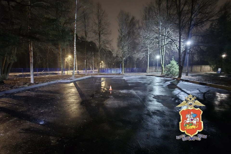 Женщина насмерть переехала двухлетнюю дочь на парковке в Подмосковье. Фото: ГУ МВД России по Московской области