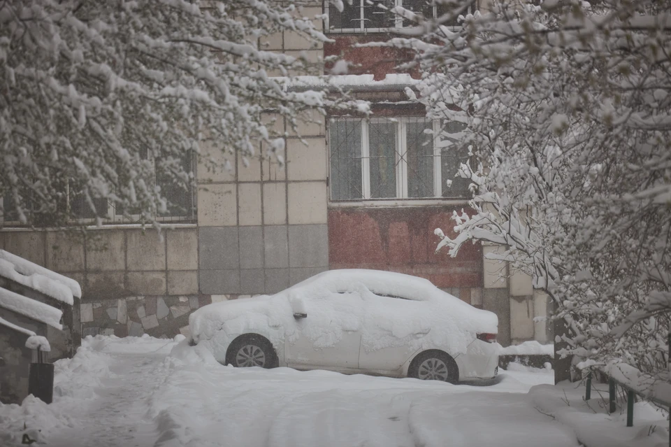 В Ульяновске укрывают к зиме спецматериалом молодые деревья на Гончарова