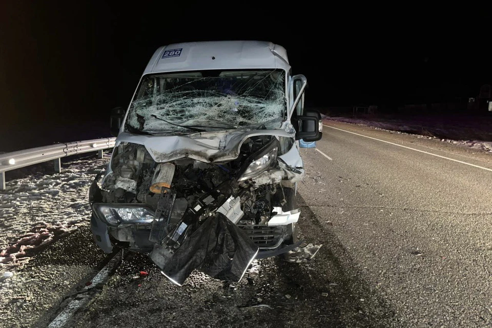 В Бурятии «Газель» сбила корову и врезалась в маршрутный автобус.