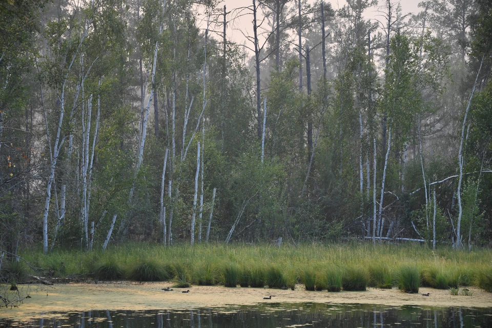 Ведётся работа по разминированию