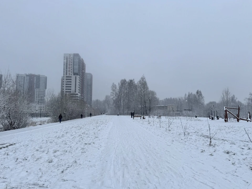 Гидрометцентр РФ представил неожиданный прогноз на декабрь в Тюменской области.