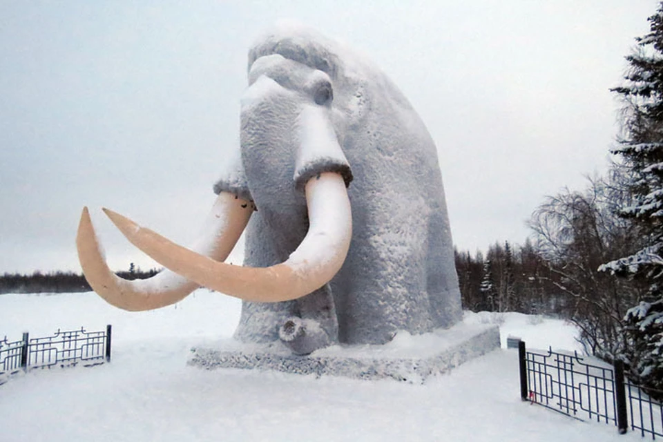 Афиша на Ямале с 29 по 30 ноября