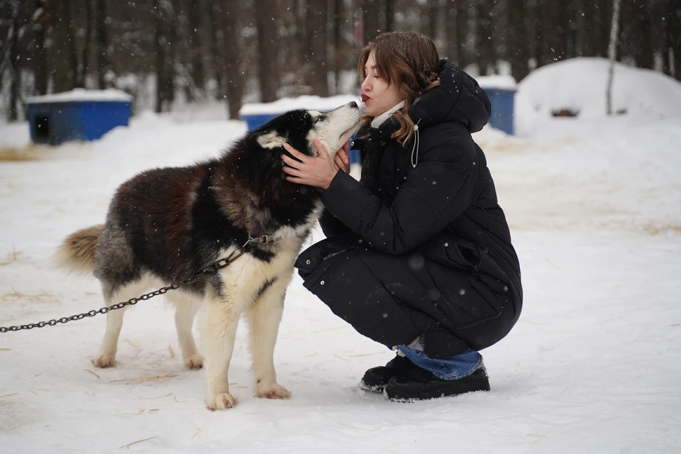 Контакт с больной собакой повышает риск заражения паразитами