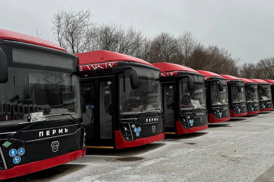 Фото: Департамент транспорта администрации города Перми