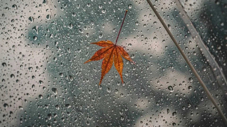 В Молдове начался сезон дождей. Фото: соцсети