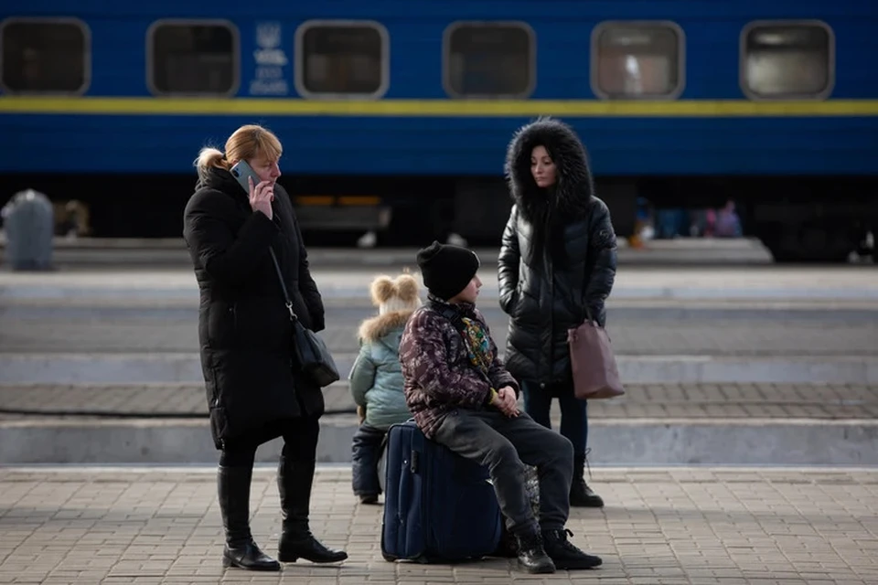 украинцы чаще просят убежище в РФ, чем жители других недружественных государств