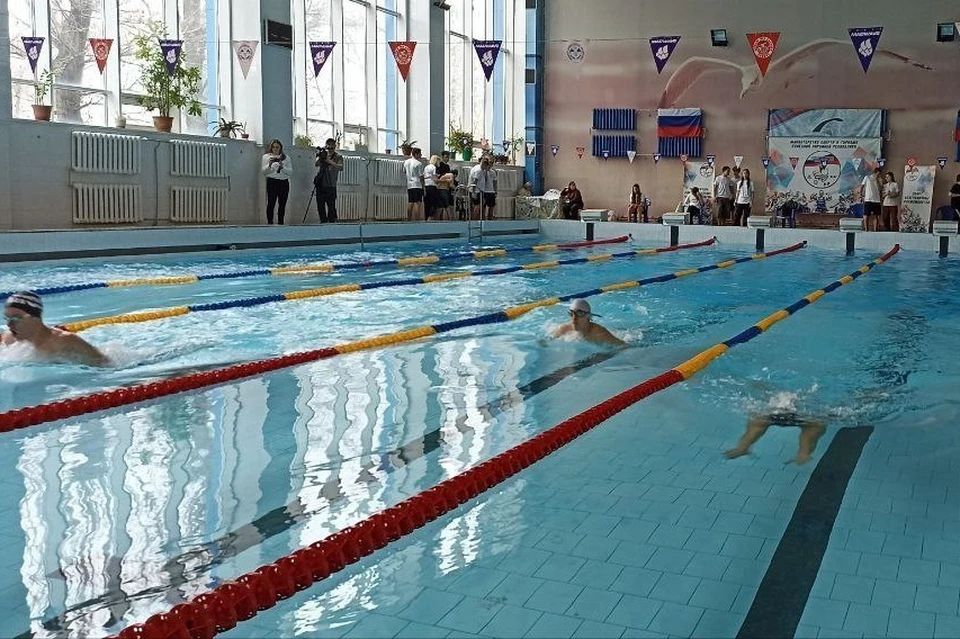 В заплывах участвовали пловцы из Донецка, Макеевки и Енакиево. Фото: ТГ/Ширшов