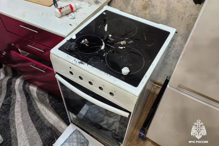 «Остались следы зубов на ручке»: в Новосибирске причиной взрыва в квартире стала собака, включившая плиту