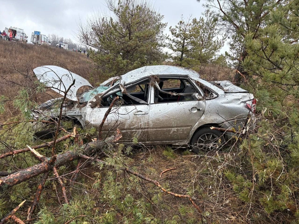 Фото: ГКУ СО ЦЕНТР ПО ДЕЛАМ ГО, ПБ и ЧС.