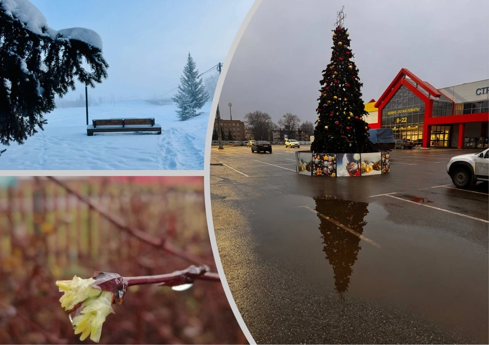 Вот такая разная зима в России