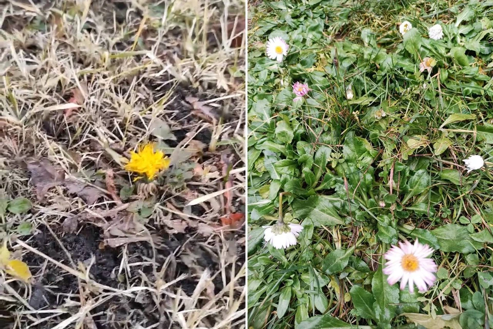 Фото: magnitkacity/Вк.