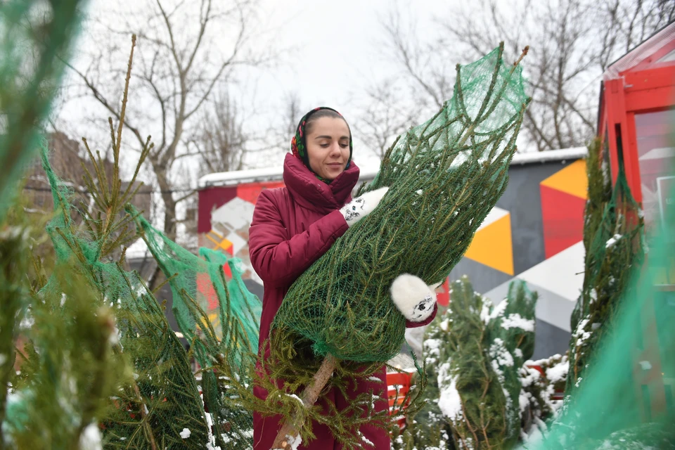 С 15 декабря в Уфе откроются ёлочные базары.