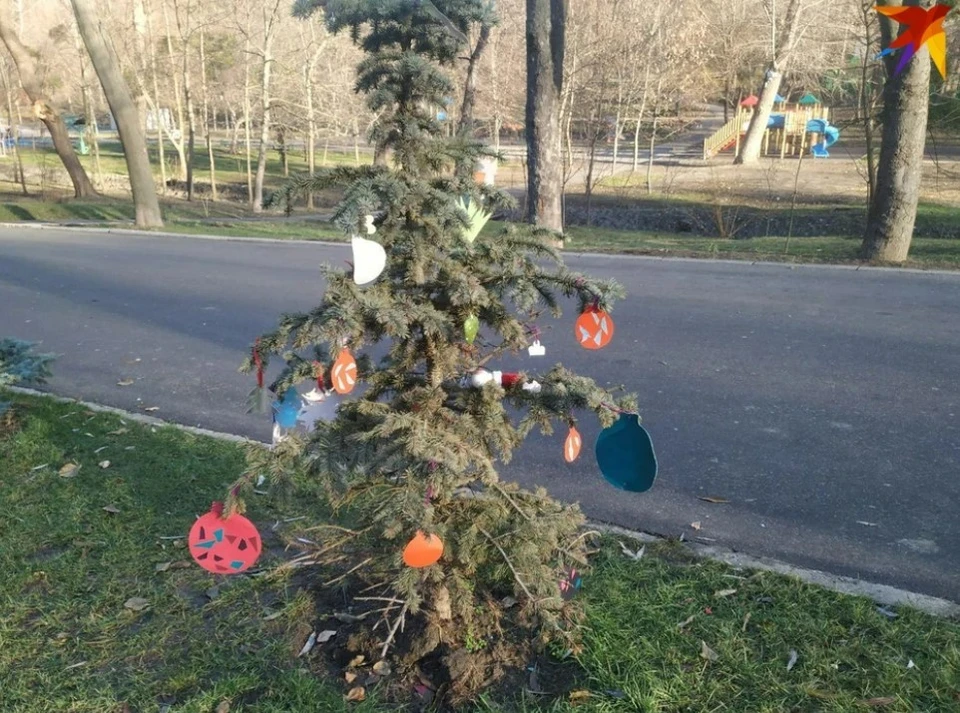 Новогодние праздники - без снега. Фото: "КП"