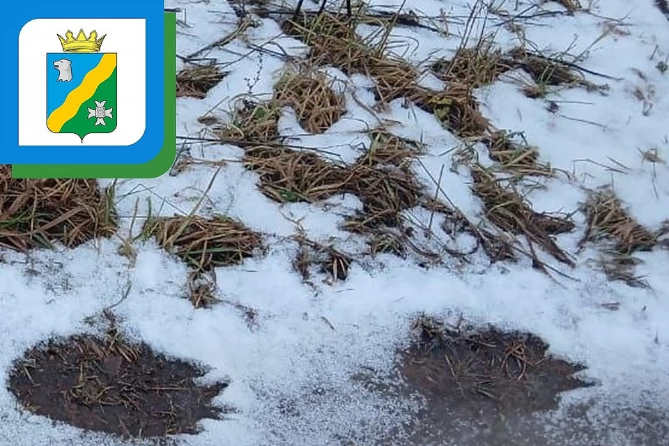 Фото: Администрация Нытвенского муниципального округа