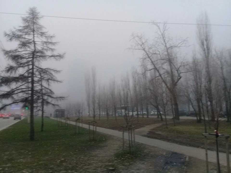 Затрудненную видимость синоптики обещают с 18:00 2 декабря до 18:00 3 декабря.