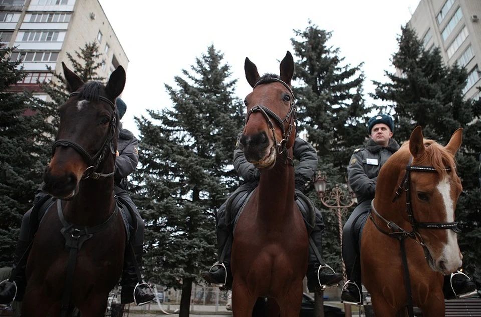 Впервые конные казачьи патрули выйдут на улицы Владикавказа.