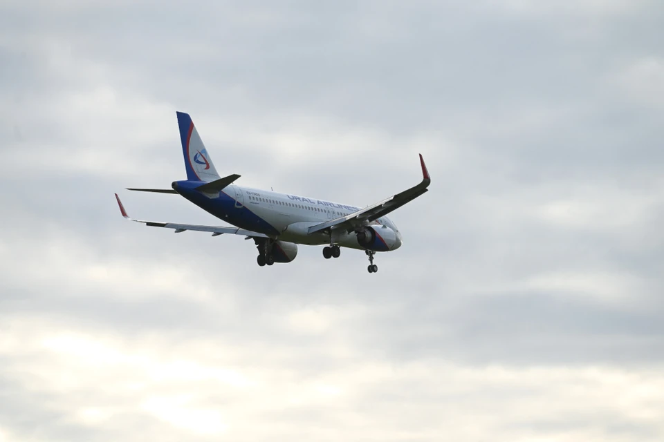 Максимальное наказание по инкриминируемой статье - до двух лет лишения свободы.