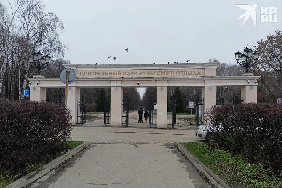 Существующей парковки со стороны Братиславской благоустроителям показалось недостаточно, и новую почему-то решили сделать в парке.