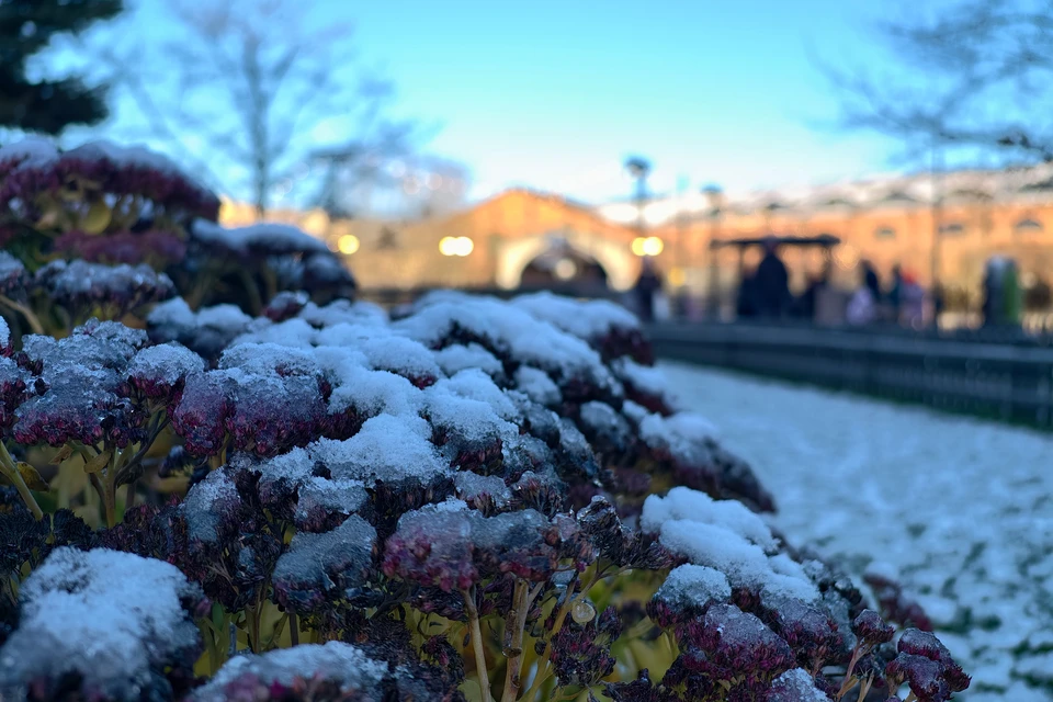 Пика похолодание в Приморье достигнет 10 декабря