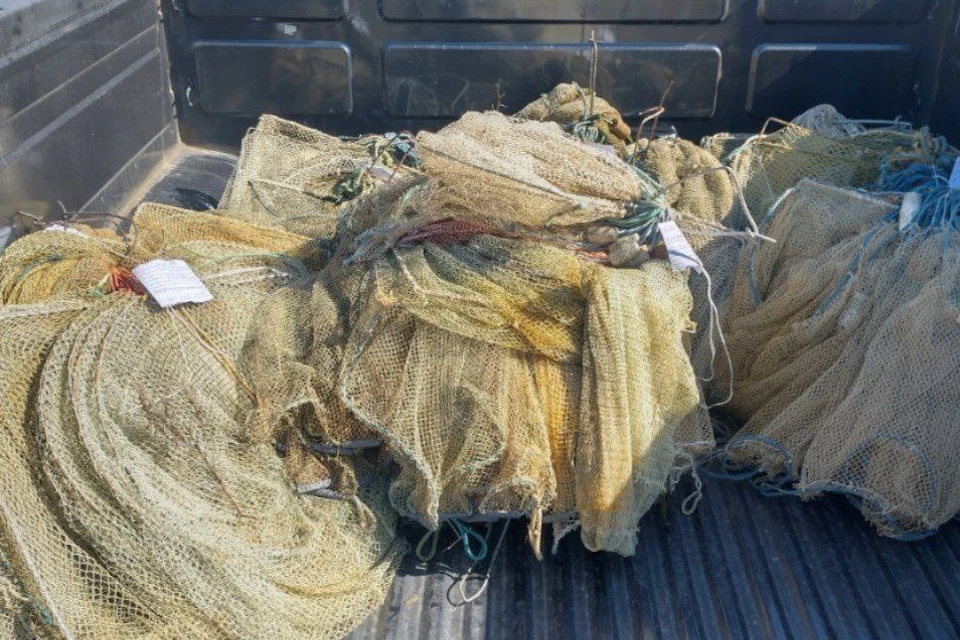 На Херсонщине будут судить браконьеров, выловивших креветки на 1 млн рублей Фото: ГУ МВД России по ХО