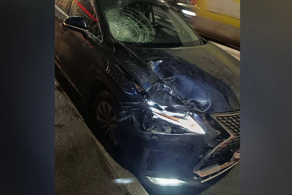 Сотрудники Росгвардии помогли пострадавшему в ДТП. Фото: t.me/rosgvard78