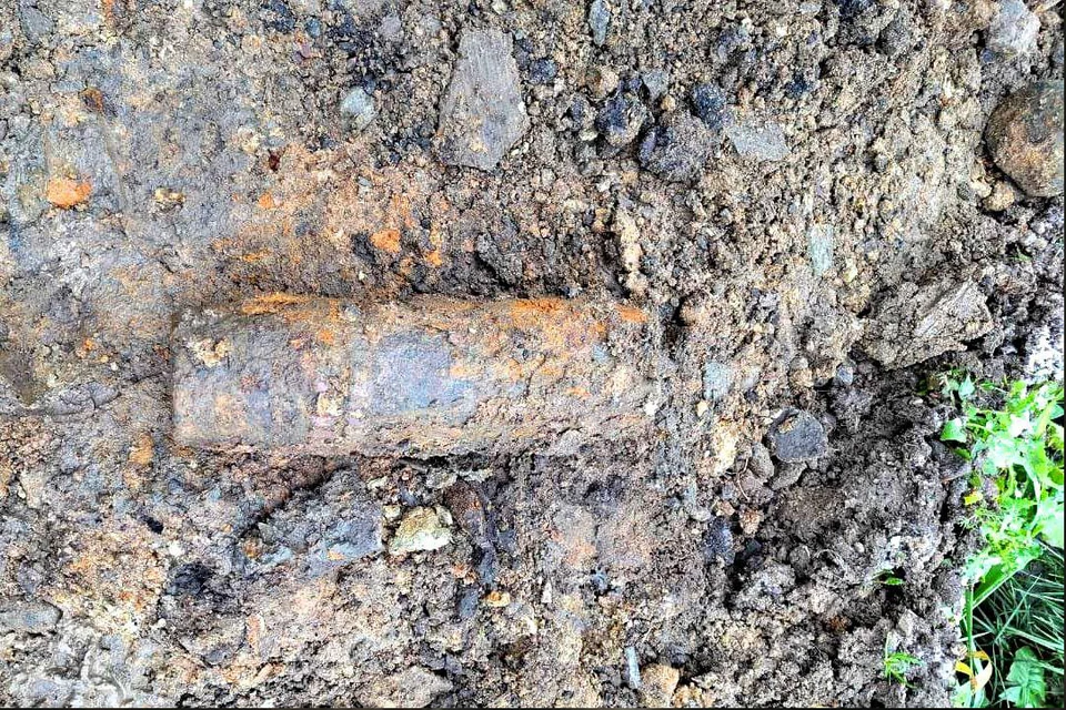 Подозрительную находку нашли в Ленобласти. Фото: t.me/rosgvard78