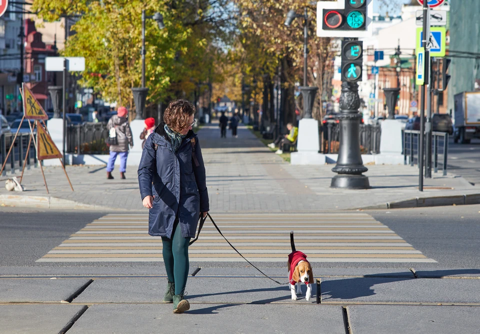 Новый сфетофор установили в Краснодаре