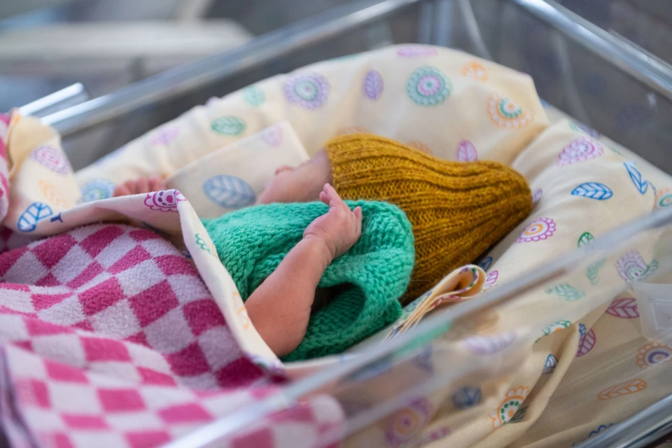 Самыми популярными стали Михаил и Софья.