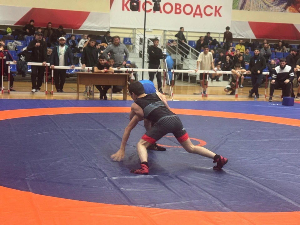 В Кисловодске прошел Всероссийский турнир по вольной борьбе. Фото: администрация Кисловодска