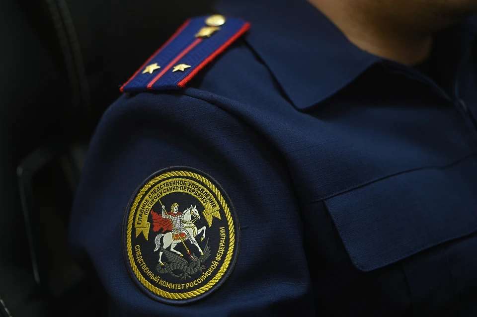 Карельские следователи начали проверку.