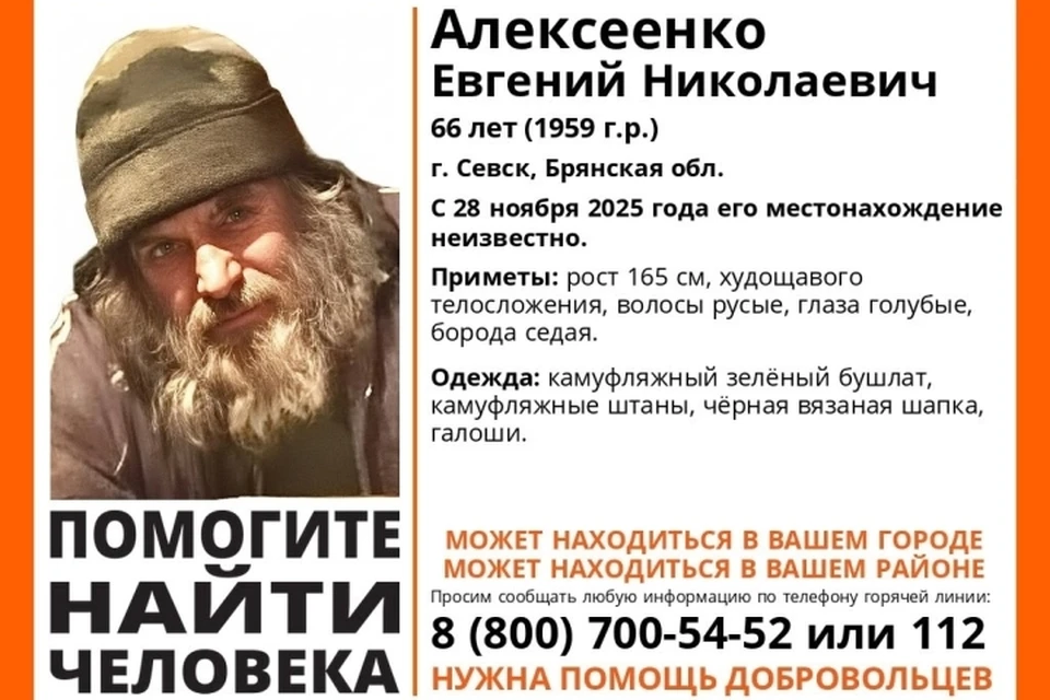 Фото: поисковый отряд "Лиза Алерт", ВКонтакте.