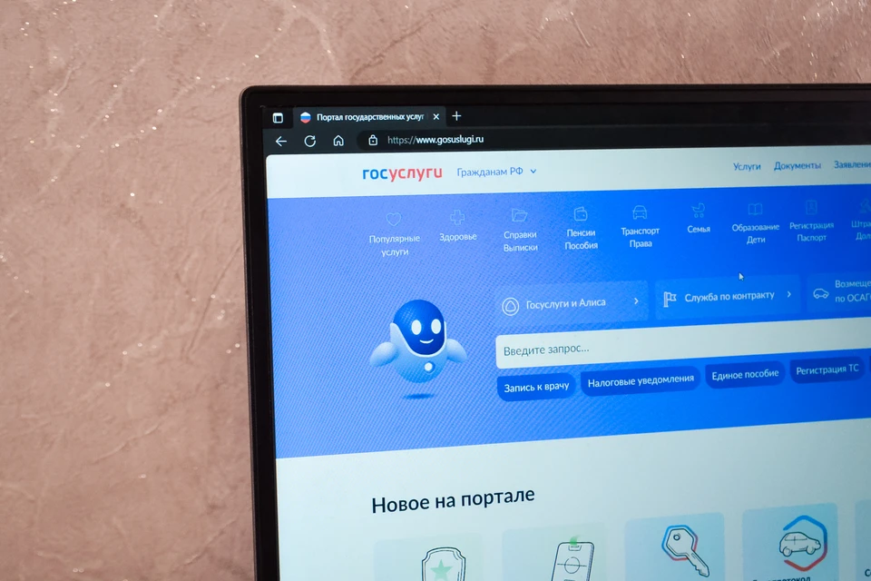 Хабаровчане теперь могут подключать на Госуслугах защиту от мошенников