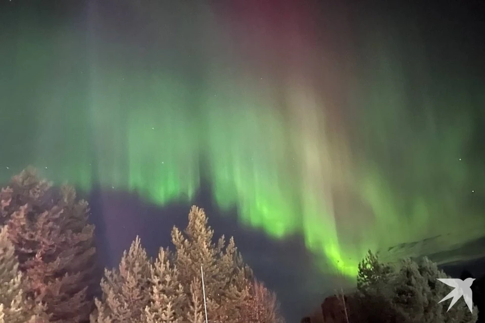 Свердловскую область накроет полярное сияние. Фото: читатель "КП"