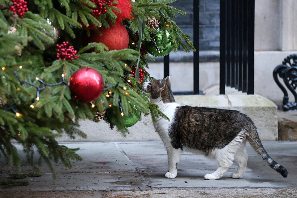 Ларри уже 18 лет - считай, ветеран