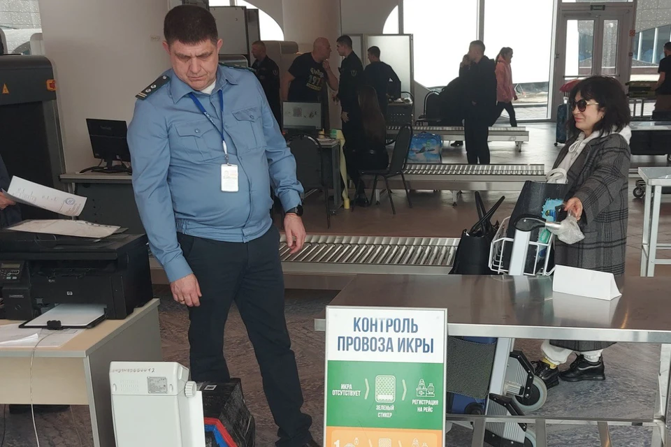 Излишки икры были обнаружены в багаже пассажиров, летевших в Москву, Хабаровск и Новосибирск. Фото: Приморское межрегиональное управление Россельхознадзора