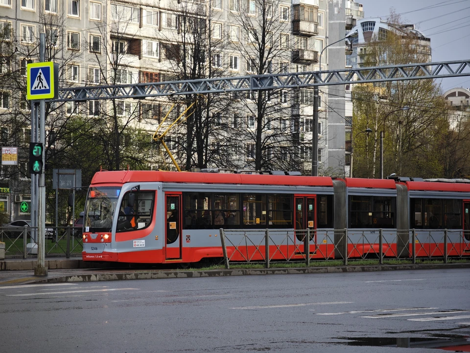 Мост рассчитывают открыть в 2027 году.