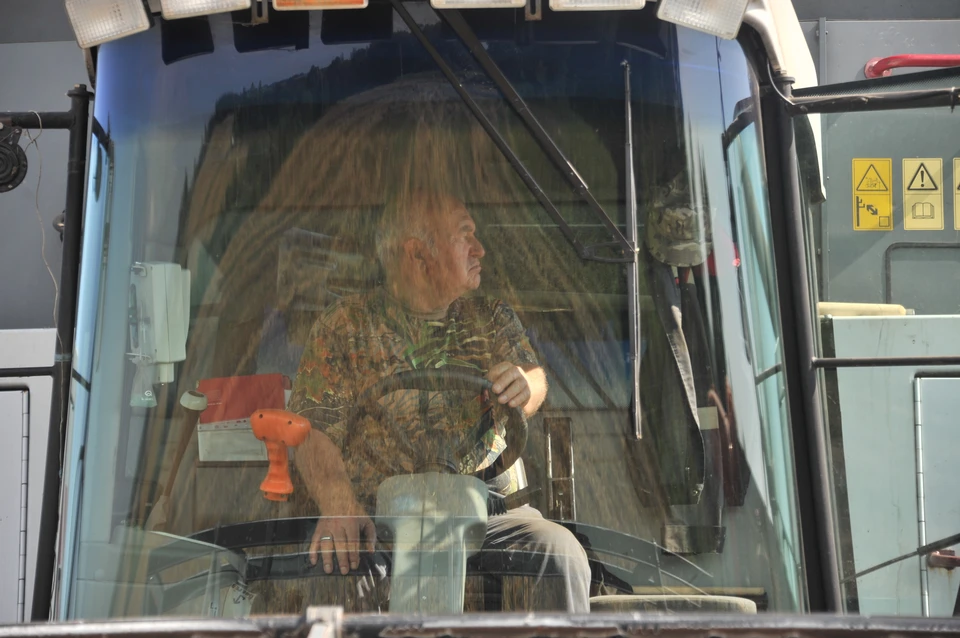 На Ставрополье в четыре раза увеличили площади посевов чечевицы