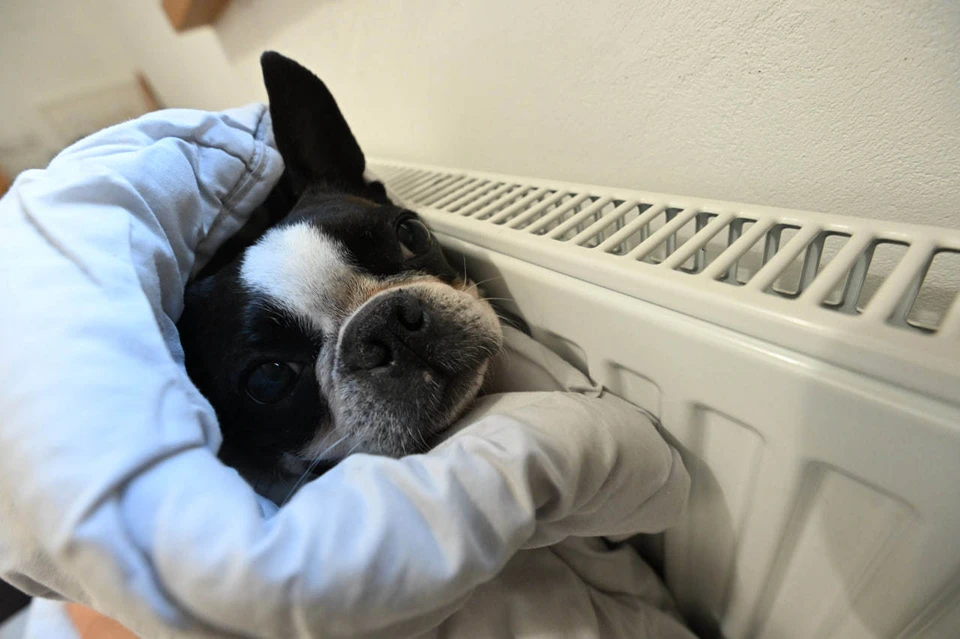 Отопление и горячую воду частично отключат в Иркутске 12 декабря.