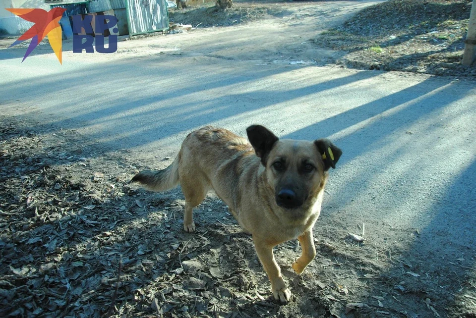 Из-за полученной травмы и лечения девочка пропустила важные спортивные соревнования.