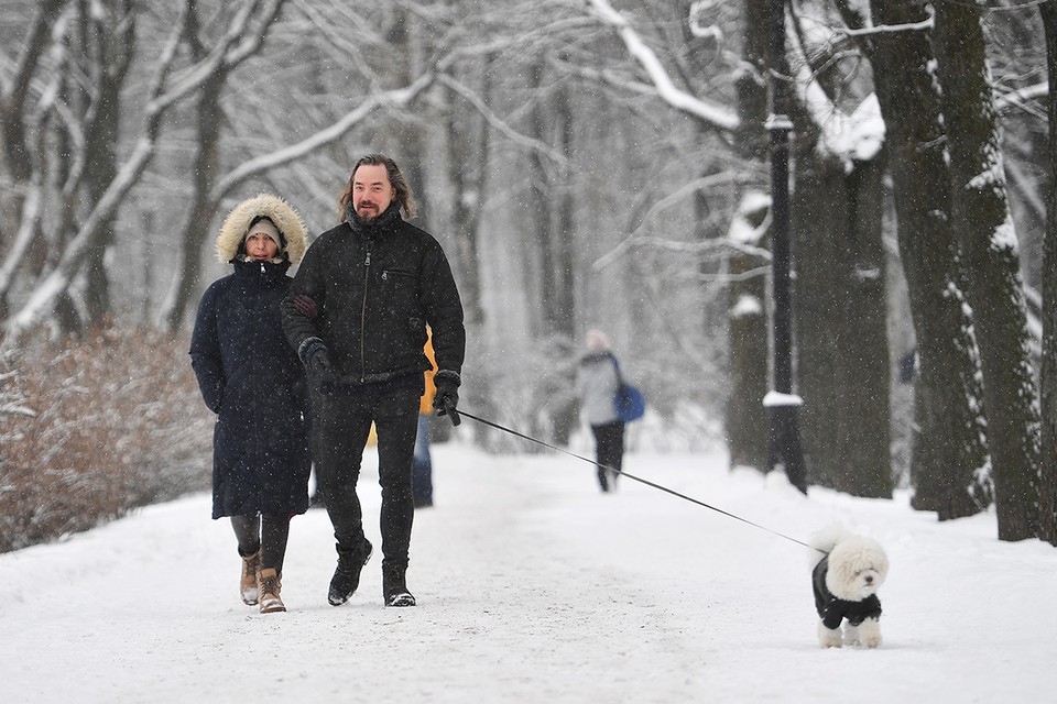 Обычная ходьба может омолодить мозг на 7 месяцев
