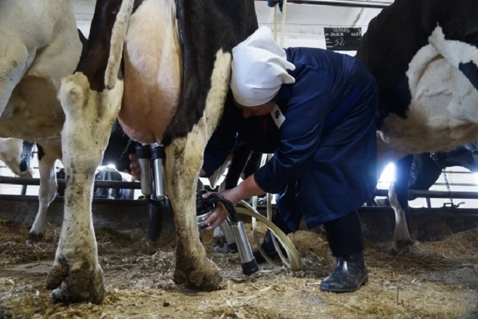 Эти деньги, и не только, могут быть направлены на поддержку производителей и переработчиков.