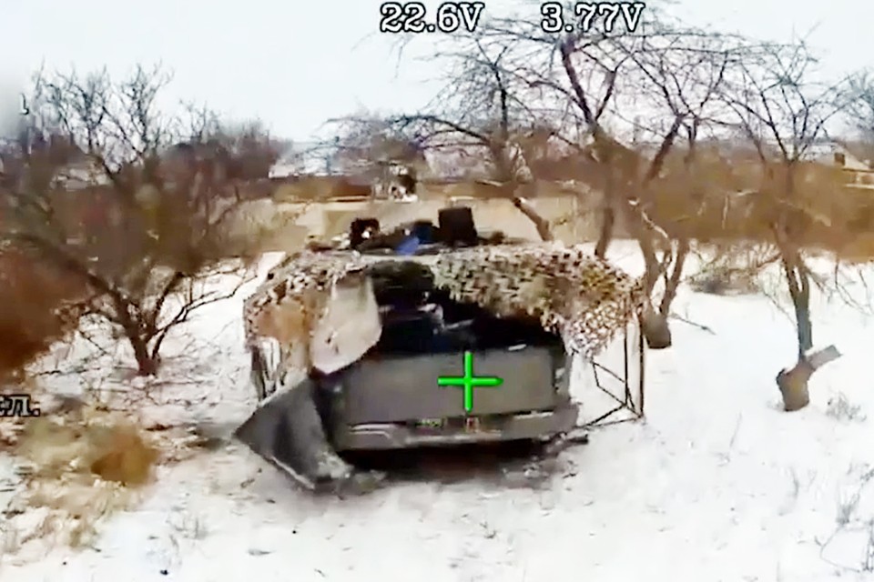 Буревестник с криком реет, черной молнии подобный