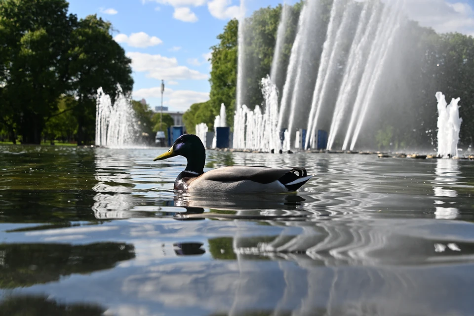 Изначально планировалось завершить работы к 1 марта 2026 года.