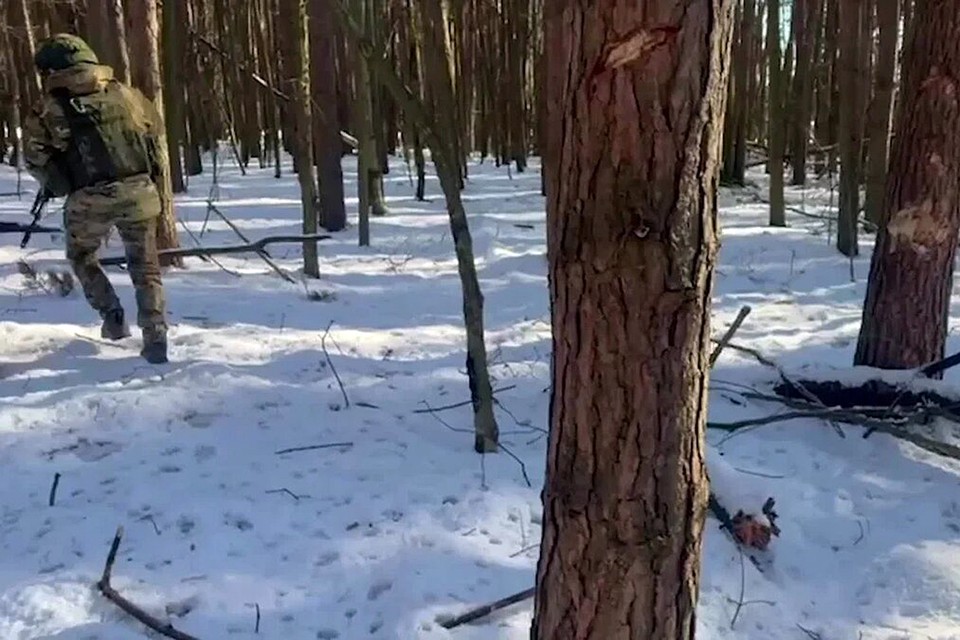 Российские десантники показали, как они находят интернет в лесу