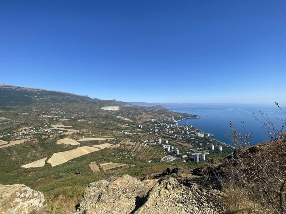 Фото: «МК в Крыму»