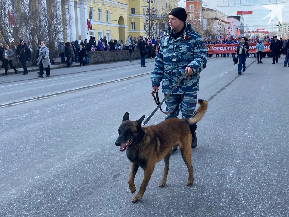 Парад Победы в Мурманске состоится.