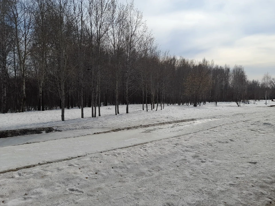 Погода в Югре на 25 апреля
